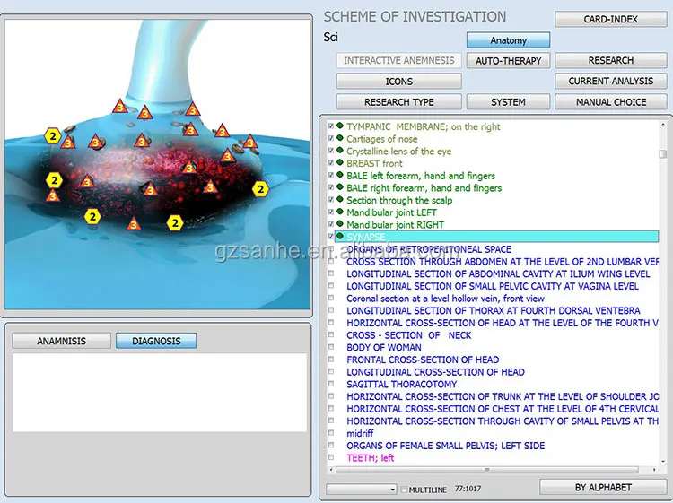 synapse.jpg