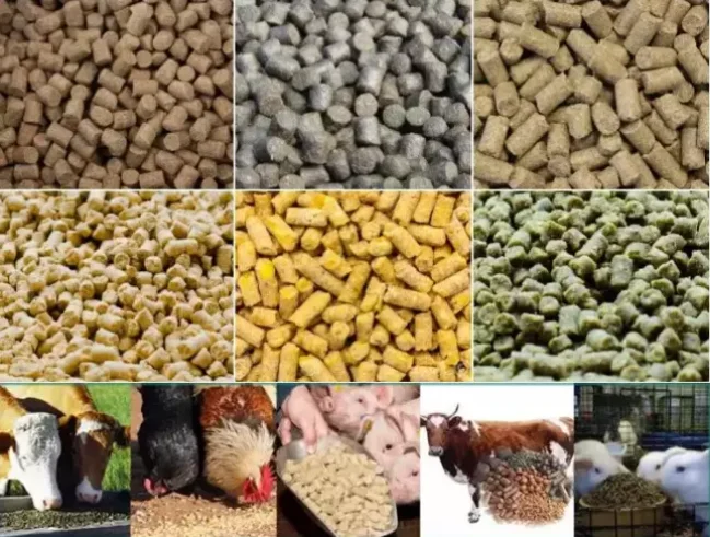 paste-pic-dp_uuid_mj42i