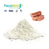 /product-detail/focusherb-tg-enzyme-transglutaminase-powder-62338325134.html