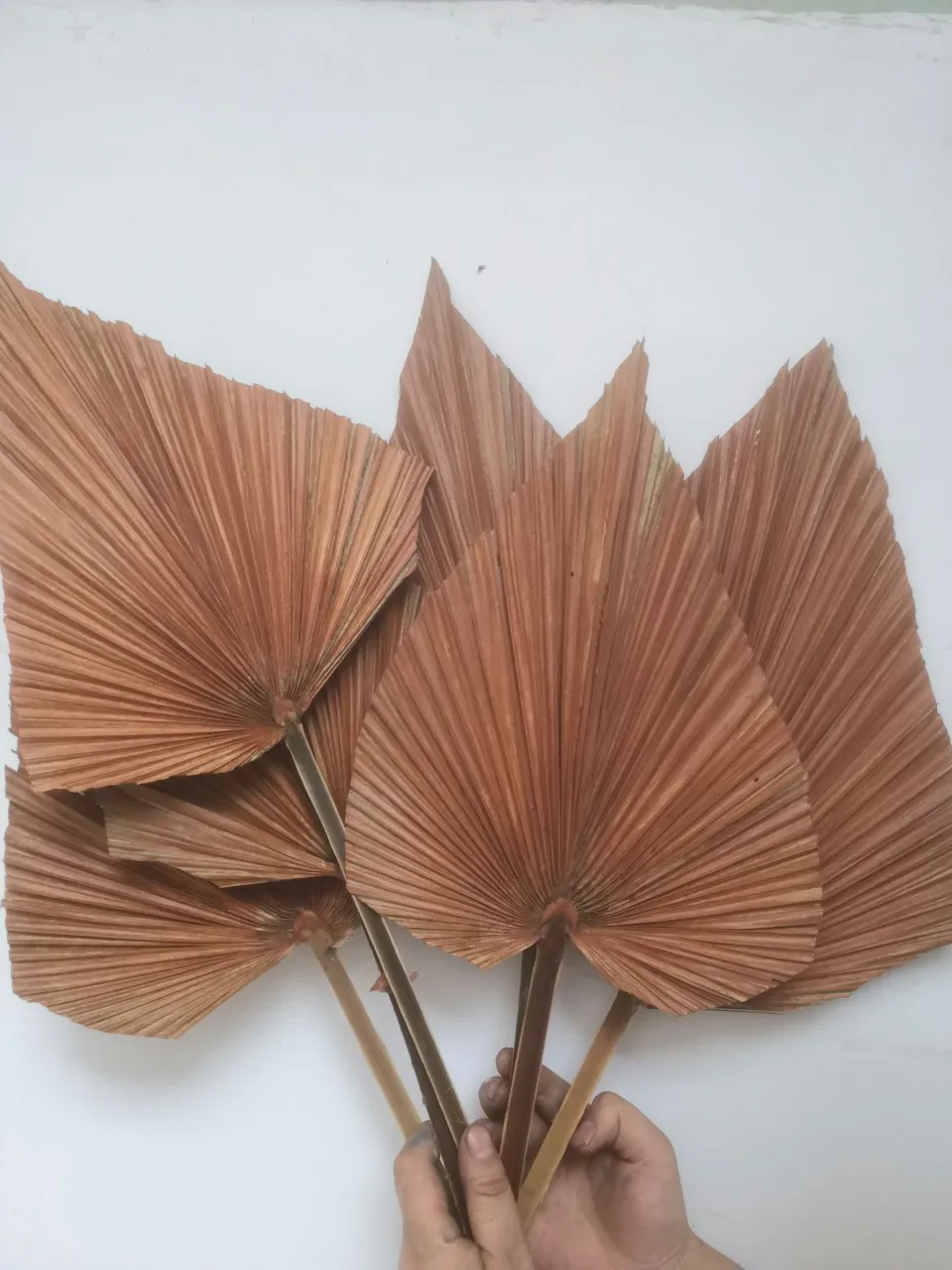 Wedding Home Decorative Diy Heart Shaped Small Natural Real Flowers