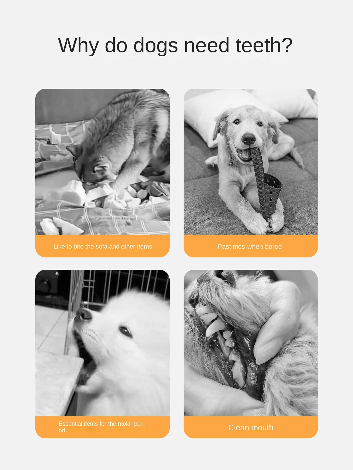 Pet Food Grinding Stick Duck Jerky Medium Large Small Dog Corgi Bite Resistant Dental Cleaning Cowhide Ring Dog Snacks supplier