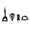 Wholesale Family KTV Studio Recording Ribbon Microphone