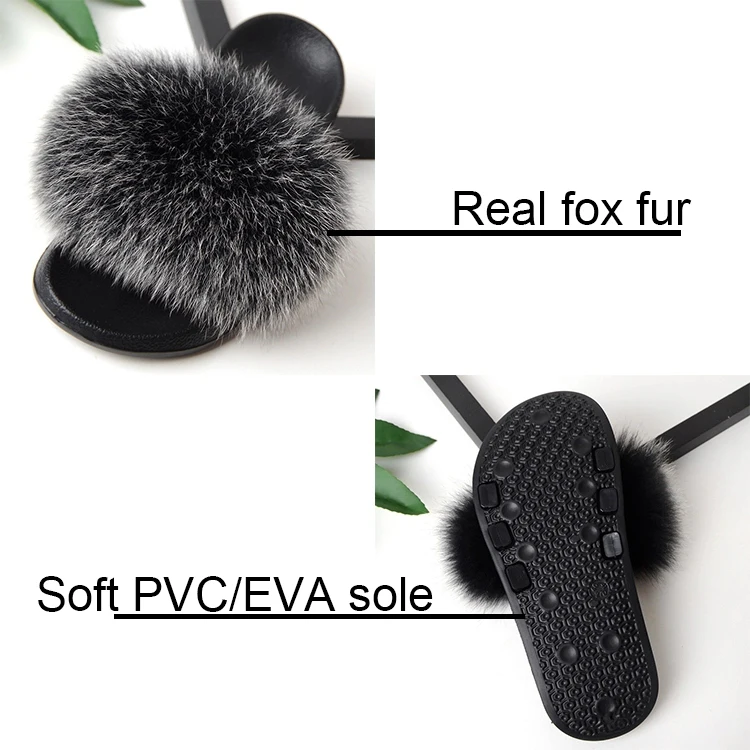 racoon slides