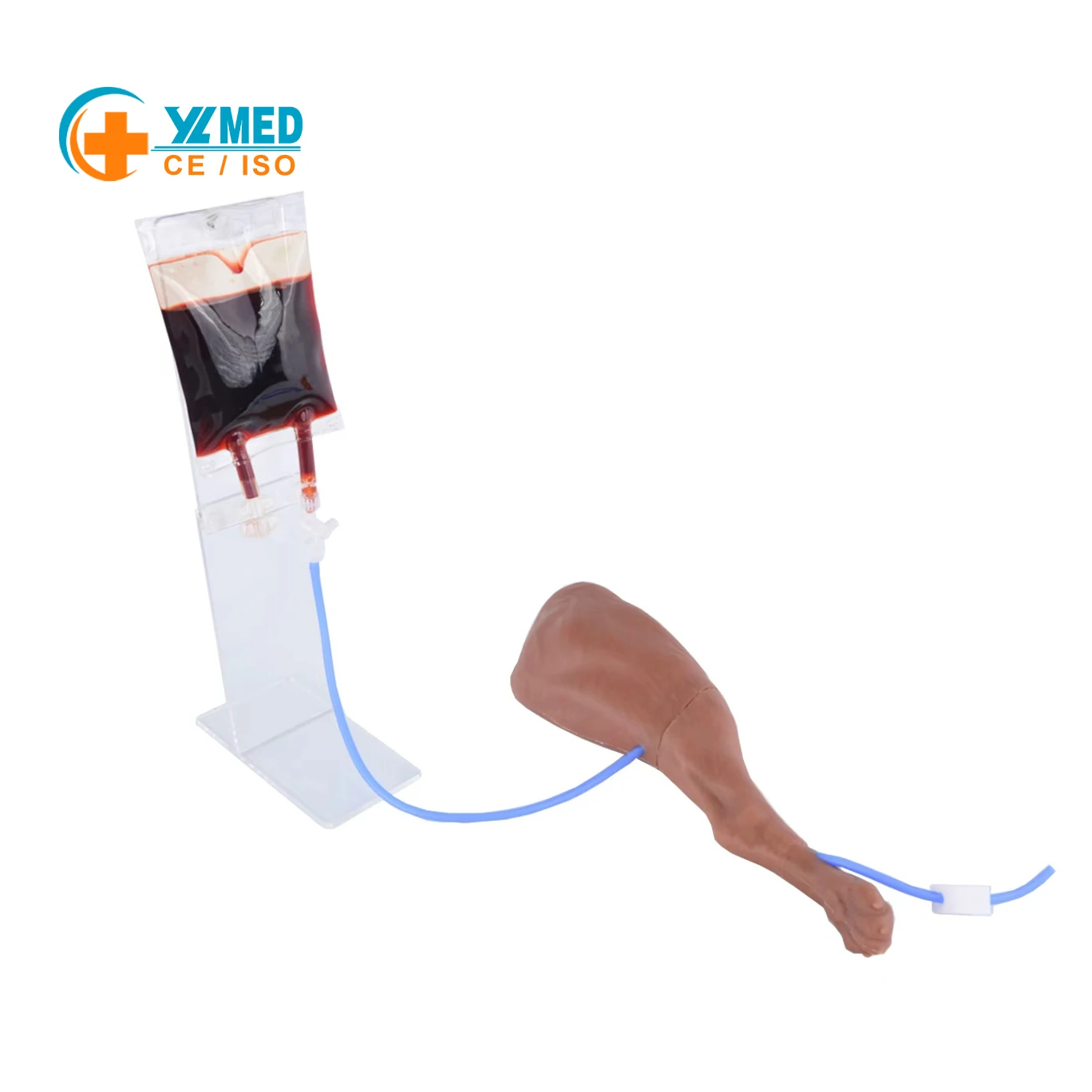 Veterinary Dog Injection Practice Canine Leg Injection Trainer for IM&IV Injections Medical Saphenous Vein Blood Collection