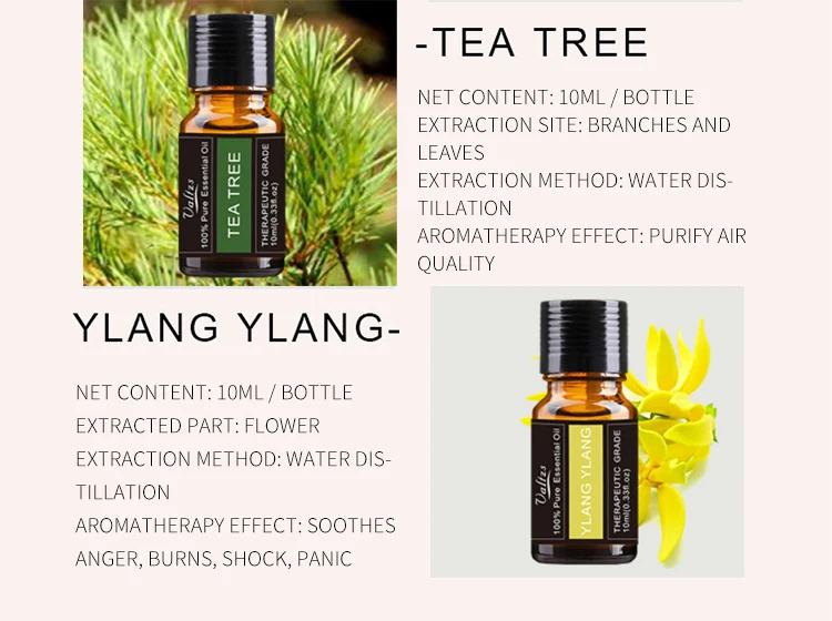 2_08.jpg OF Private Label Wholesale High Quality Natural Aroma Lavender Body Massage Essential Oil 