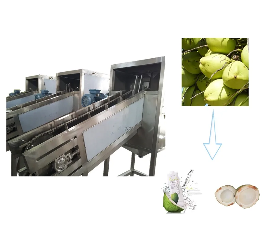 Vacuum Extractor For Coconut Water Dewatering Machine Coconut Water Extracting Machine Buy