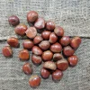Wholesale Chestnut Raw Sweet Fresh Chestnuts