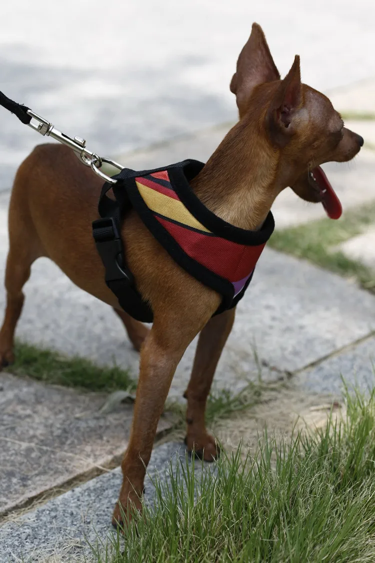 soft mesh padded custom made blank tweed dog harness jacket vest
