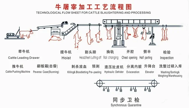 Slaughterhouse automatic cattle slaughter line equipment