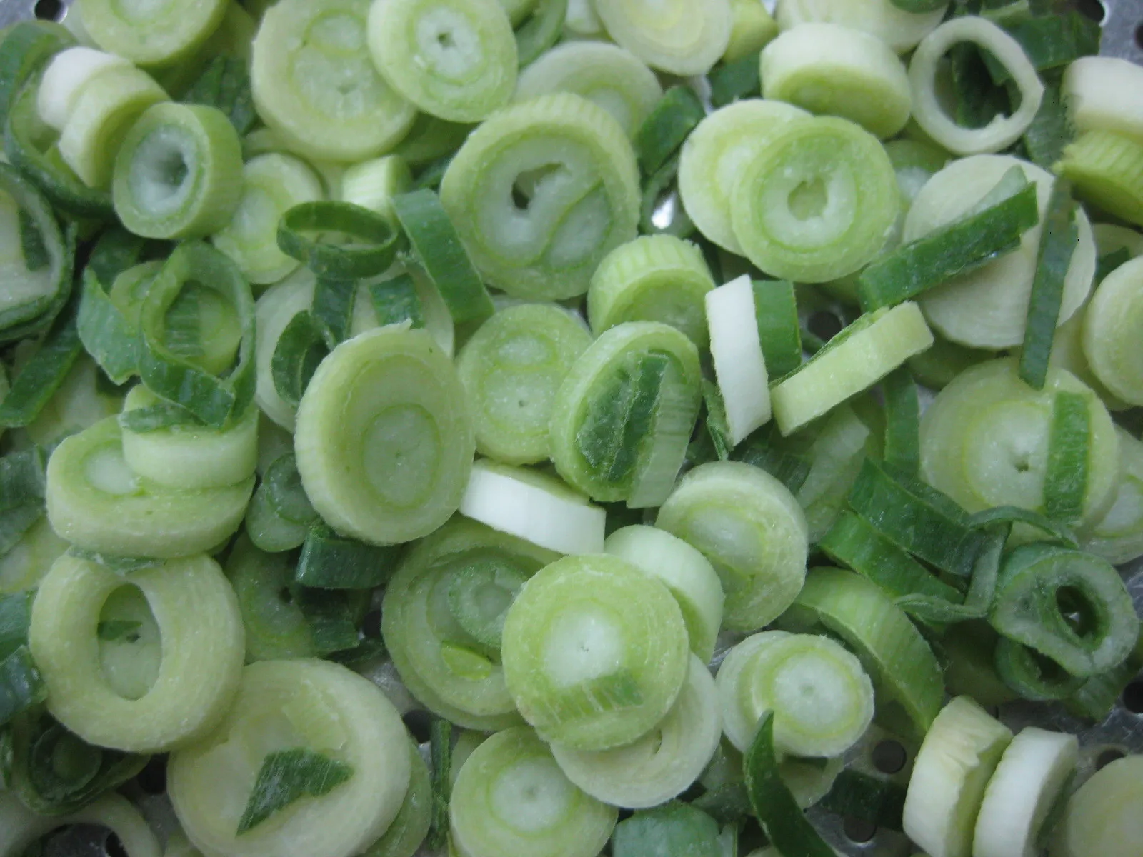 korean green onion leek iqf frozen scallion
