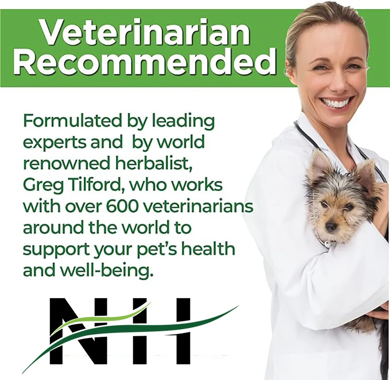 Cognitive Support Formula Supports The Cognitive Health Of Aging Dogs