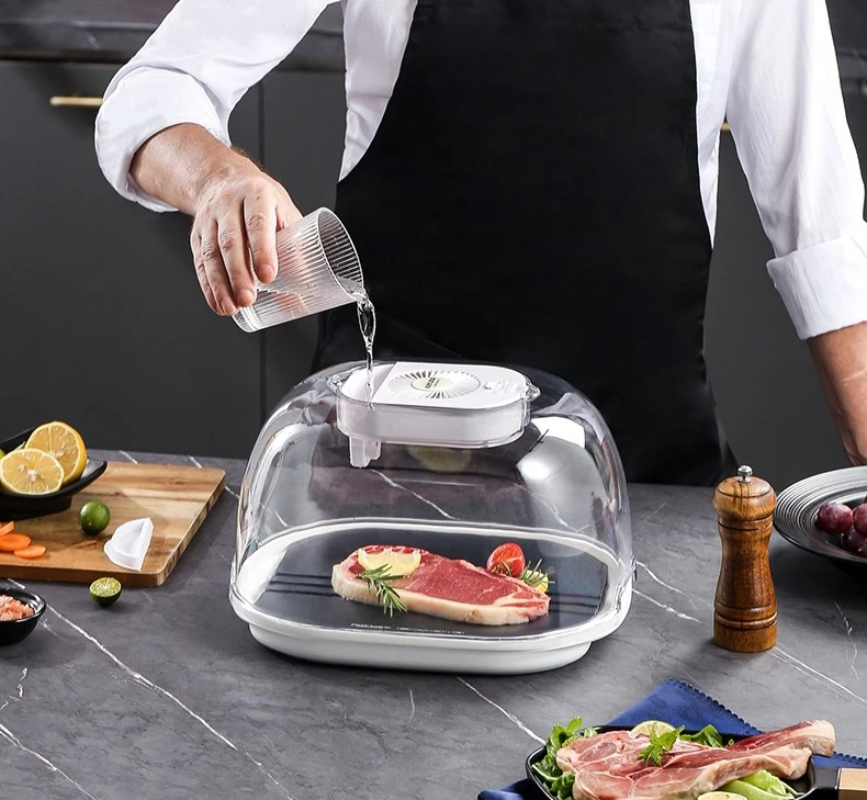 Stainless Steel Defroster Plate, 2000, Home Hot Plate - detail 4