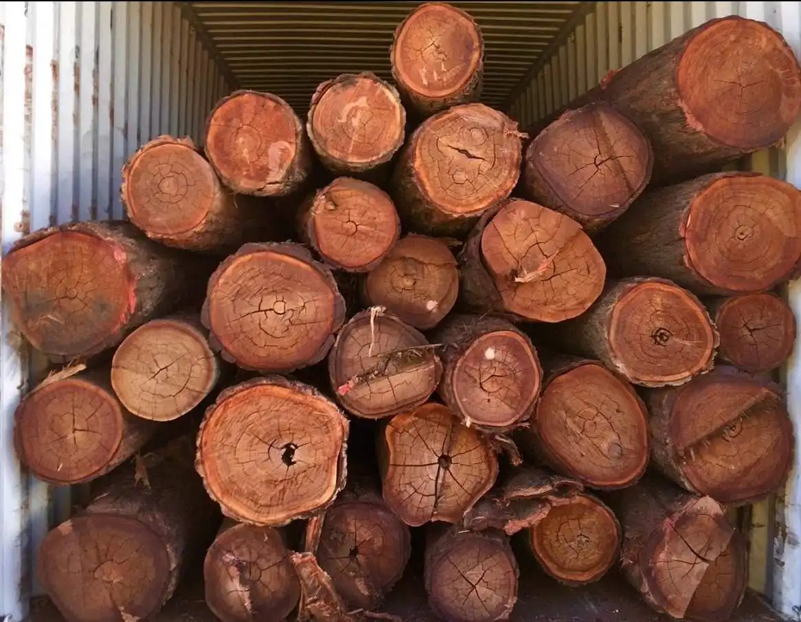 
Australian timber raw material trade Lancewood solid wood furniture building indoor and outdoor overall decoration acacia log 