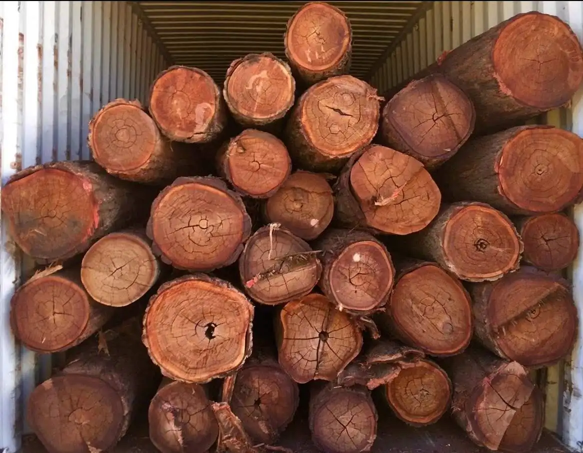 Ebony raw timber australia