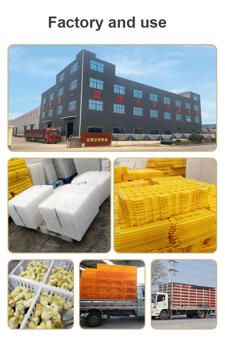 poultry factory and  usage.jpg