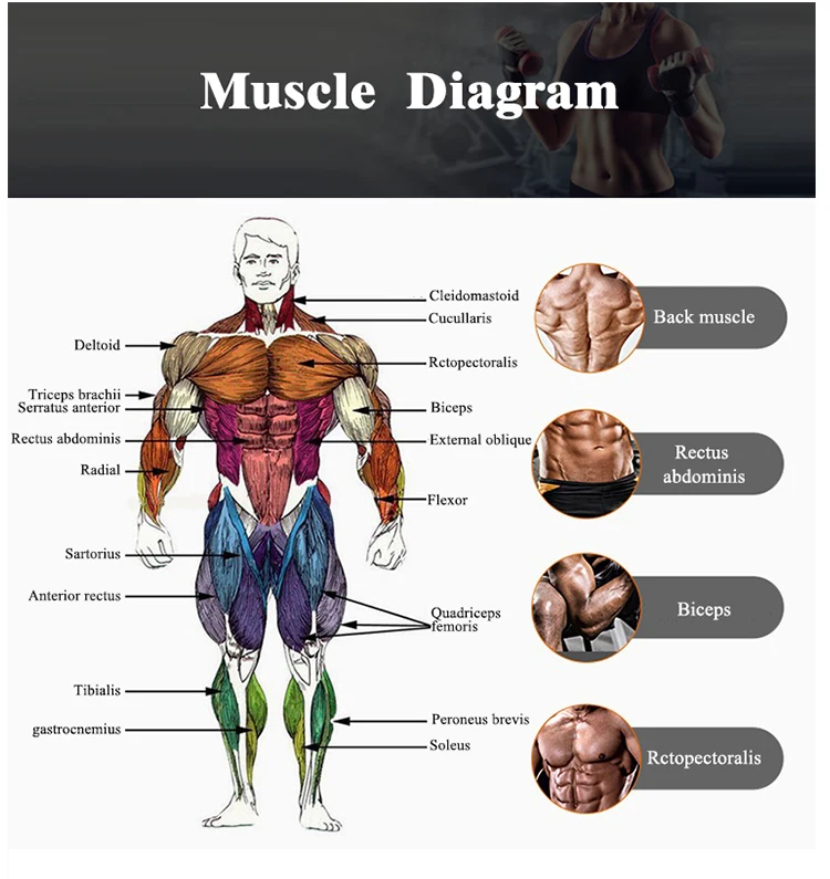 Wholesale competitive price adjustable dumbbell set for bodybuilding sports equipment