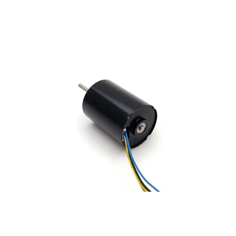 Bldc Motor 24v 12v Small Engine 36mm 3650 Custom High Power High Speed ...