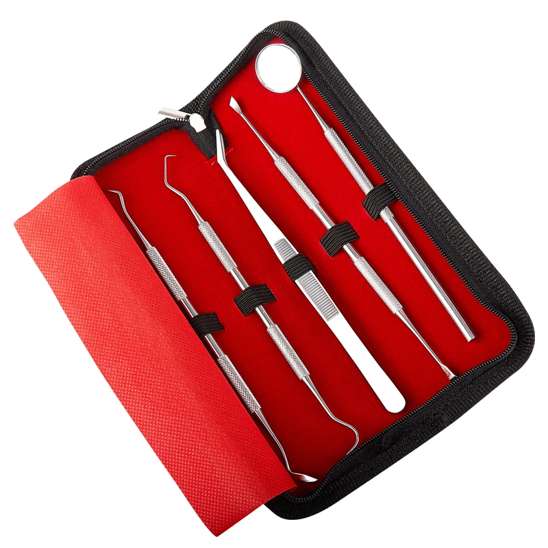 
Professional Stainless Steel Dentist Tools Surgical Instrument 5 PCS Set 