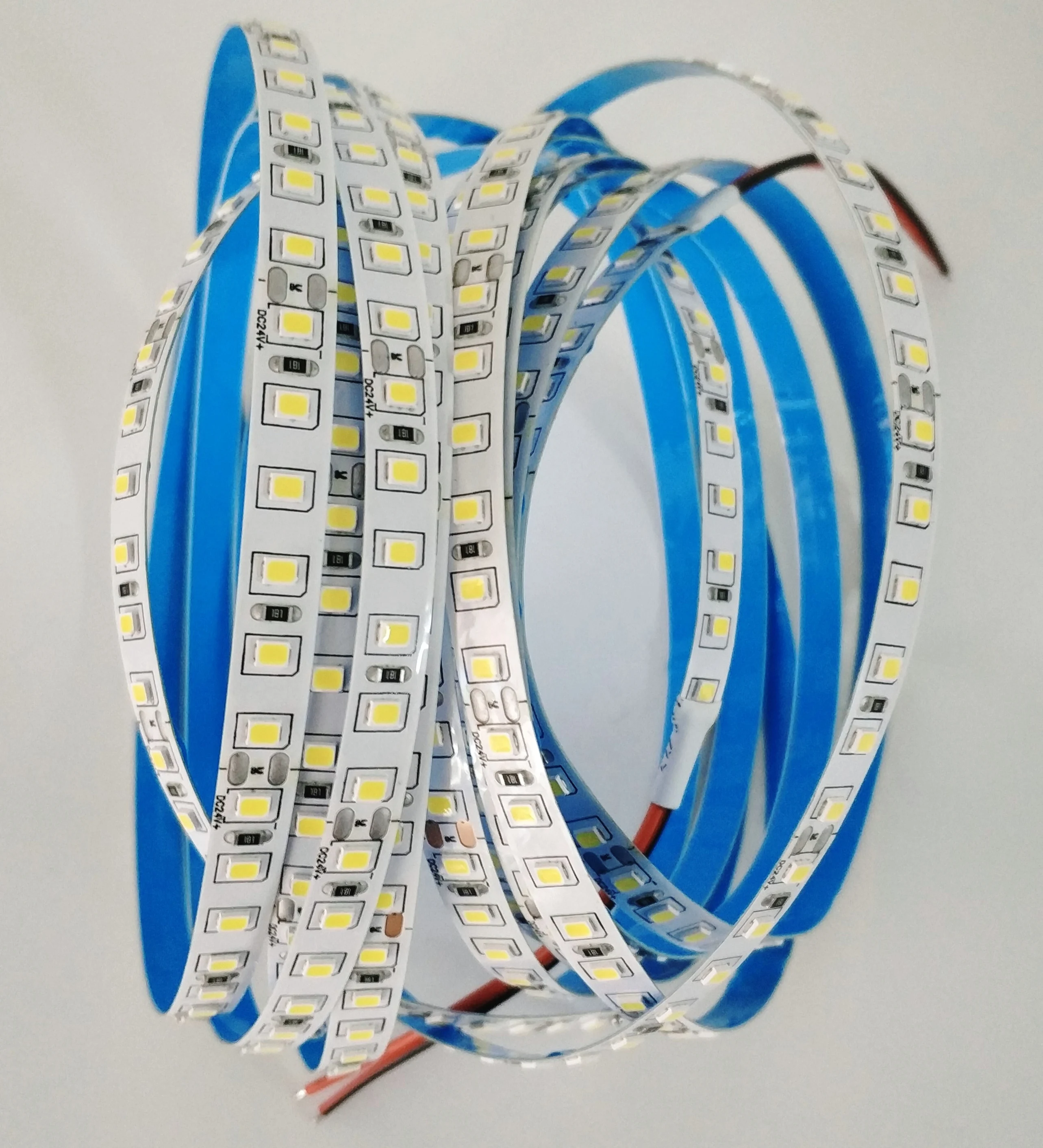 Wholesale 10 Meters Length Customizable Durable Decorative 24v White