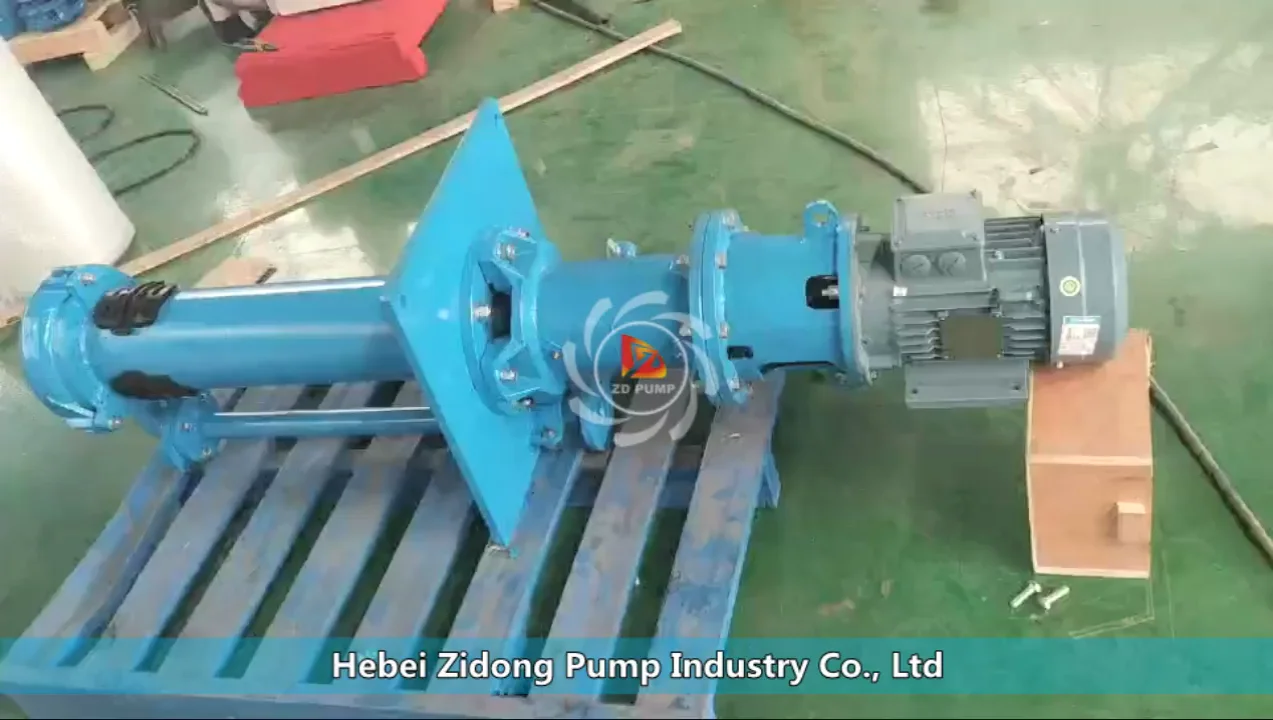 China Wet Pit Mining Dewatering Submersible Vertical Sump Slurry Pump ...