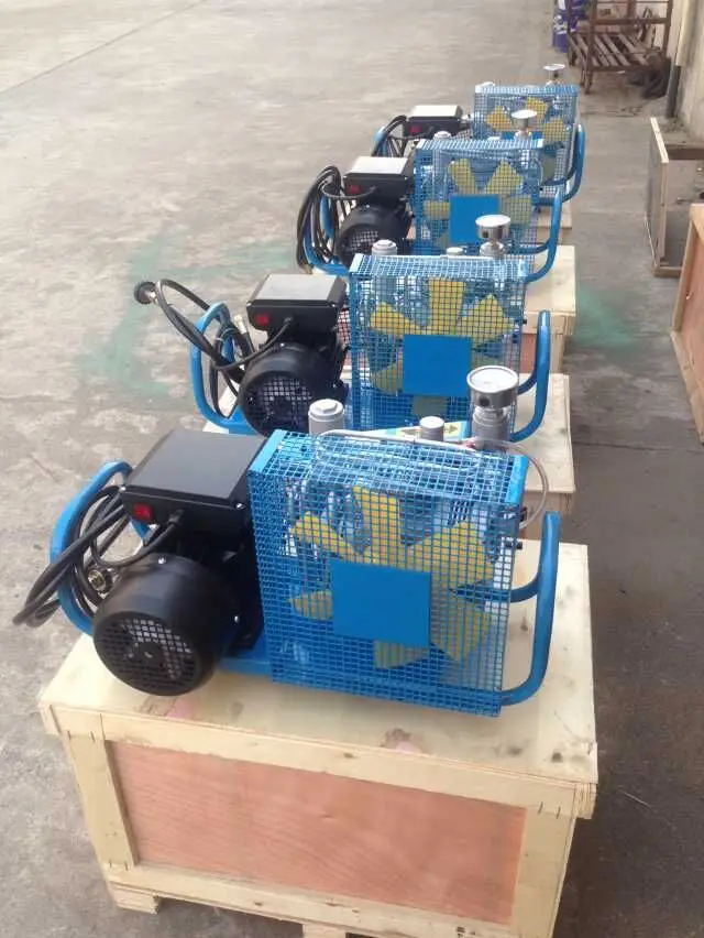 100l 200- 300bar高压彩弹汽油空气压缩机