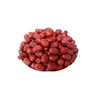 Private Label nutritious red dates dates