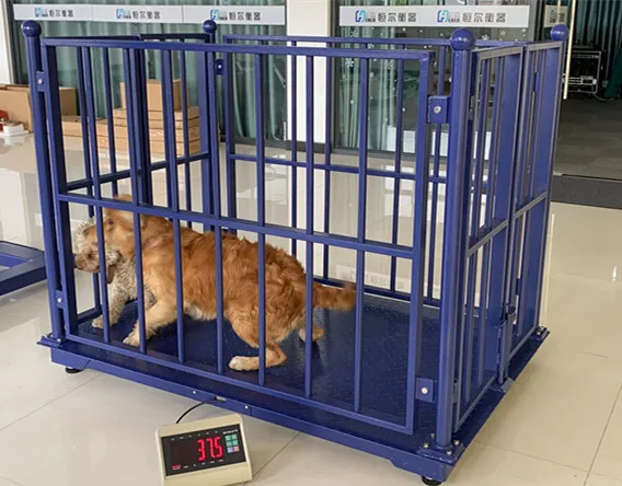 用于称重动物的 3 吨牛鳞地磅