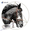 ESWT shockwave device vet treatment veterinary shock wave therapy horse racing for animal