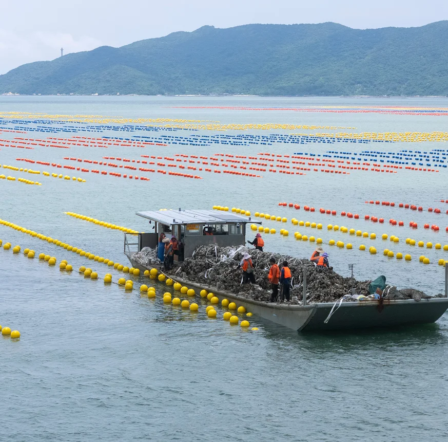Hdpe Raft HDPE Raft Type Suspended Floating Ball| Alibaba.com
