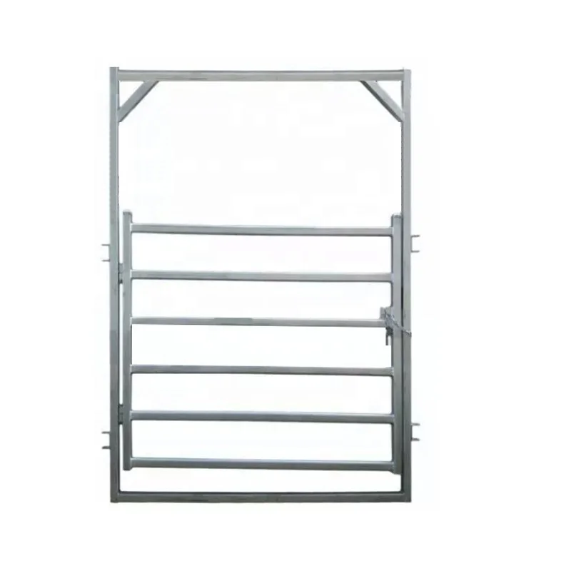 horse bronco gate.jpg