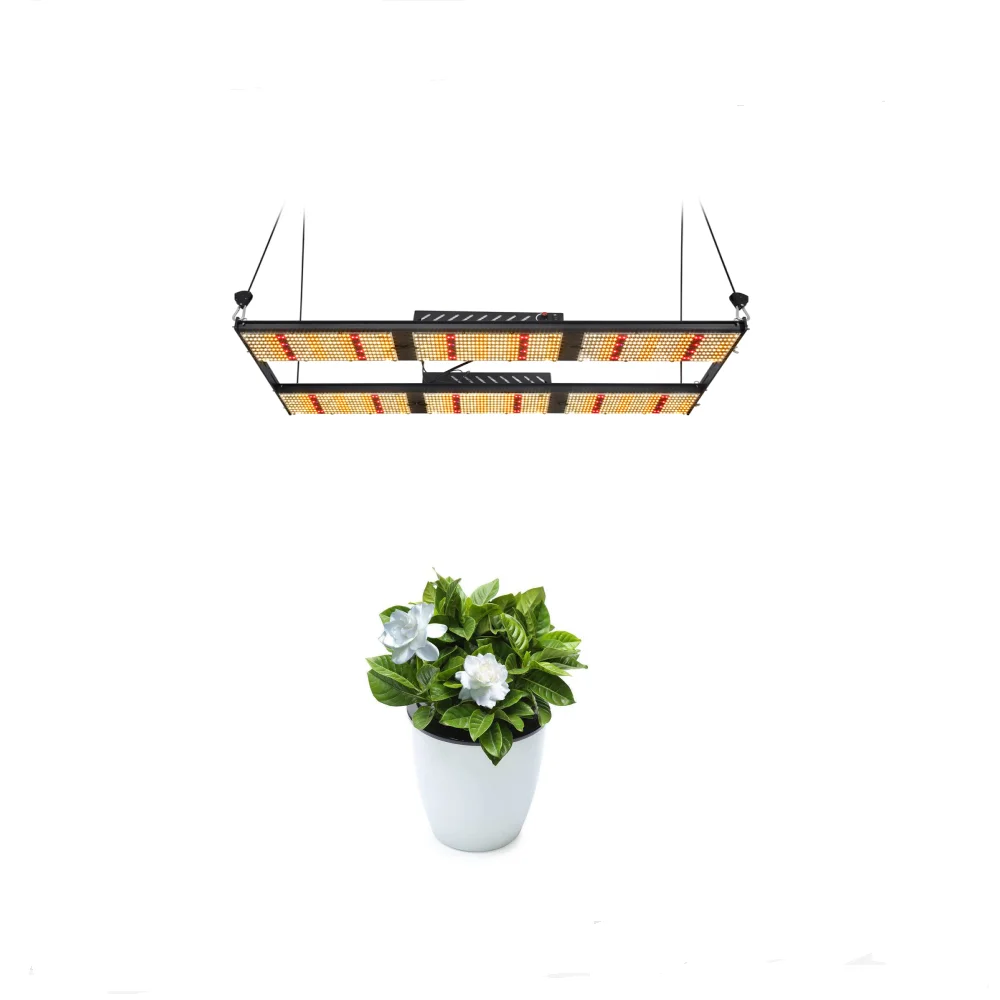 Shenzhen High RIO 640W UV IR RED LM301H Vertical Farm Quick Grow Full Circle Growing Top Review CE Led Light For Plant Growth