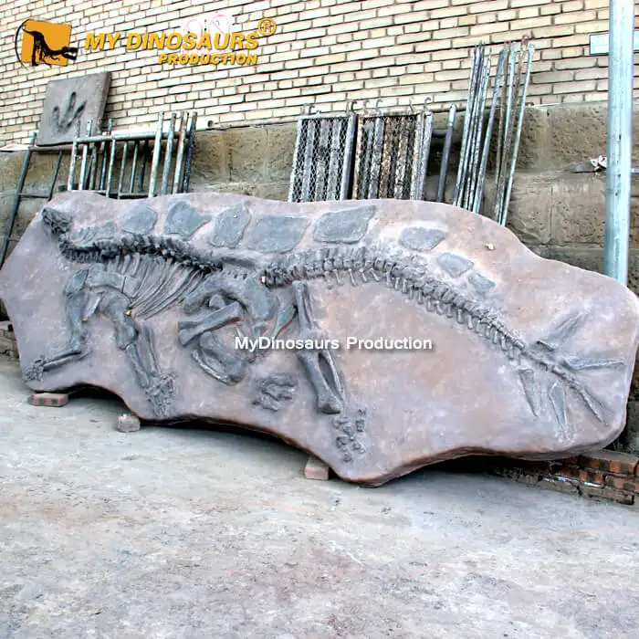 My Dino Life Size Stegosaurus Dinosaur Fossils For Sale Buy