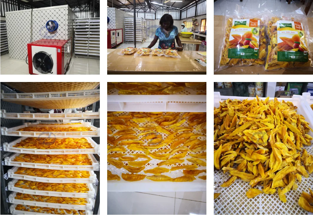 Mango Drying Plant/dried Sliced Mango Processing Machinery Buy Mango