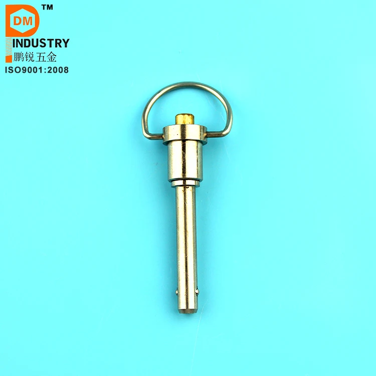 D Ring Pin.jpg