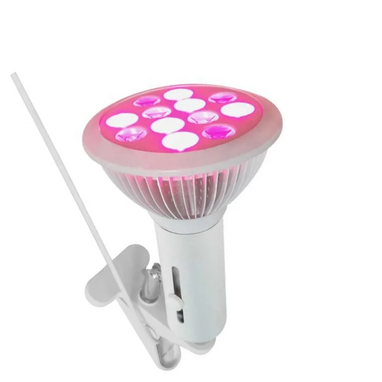 New Arrival Red 660nm and Near Infrared 850nm 60W Red Light Therapy Bulbs for Skin and Pain Relief