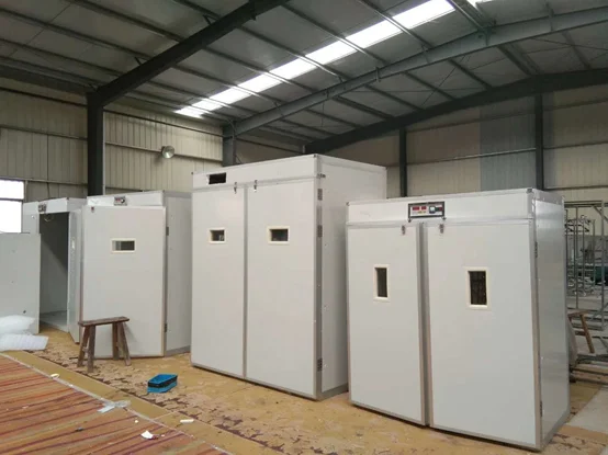88-3000 Capacity Poultry Incubation Equipment ...