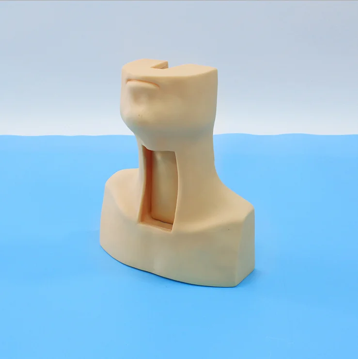 Advanced Tracheotomy Intubation Training Model for Medical Science Teaching
