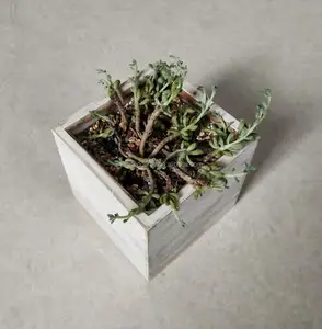 wood plastic flowerpot