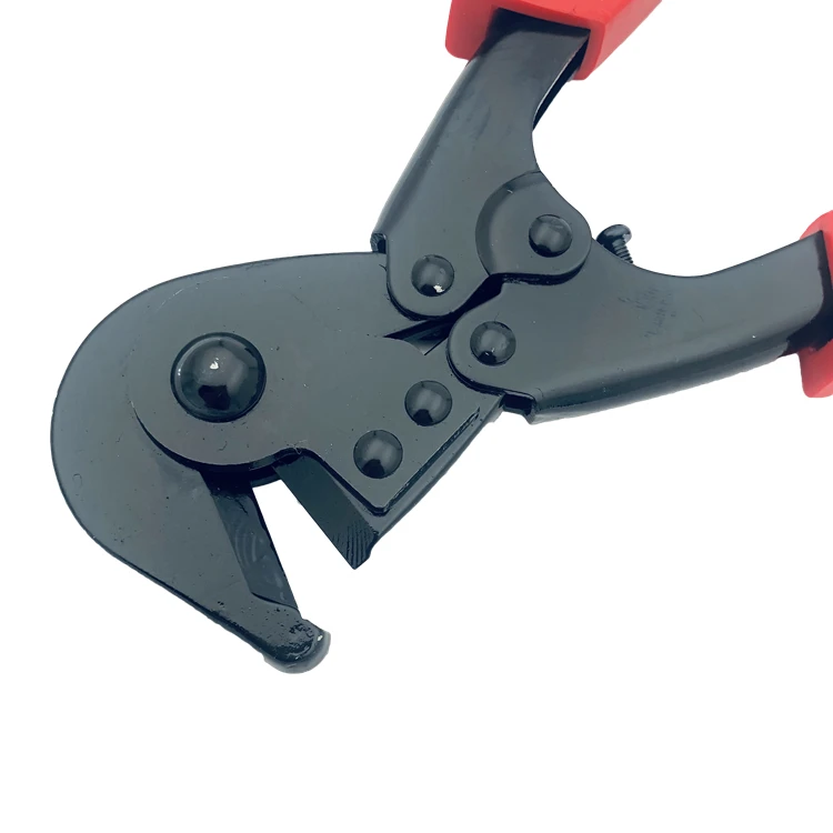 2019-12-23 125312.jpg