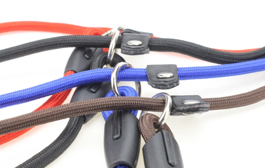 Dog Collar Leash (4).png
