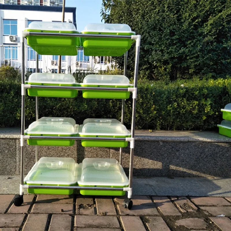 seedling growing 1.jpg