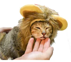 Advocator OEM/ODM Halloween party gift funny long brown plush soft lion hat for cat with cute ears