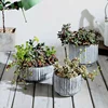 Limestone series flowerpot Simple wind cement flowerpot fleshy plant mini small plant fleshy flowerpot