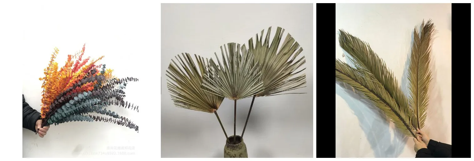 Dried Flower supplies (1).jpg