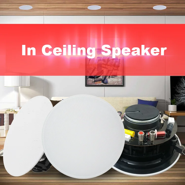 Erisson Oem Factory 6 5 Circle Ceiling Mount Outdoor Speakers