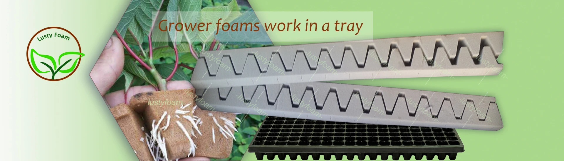 grower foam in tray.jpg