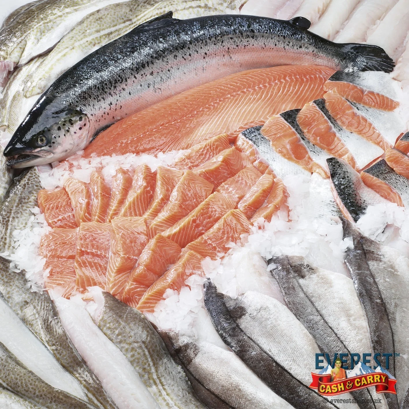 Fishmeal Powder/fish Meal For Animal Feed/ Protein Buy Fish Meal Fish