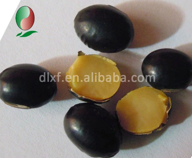yellow kernel black bean1