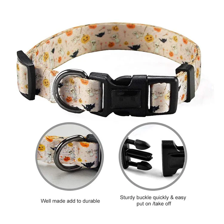 Pet Collar-81