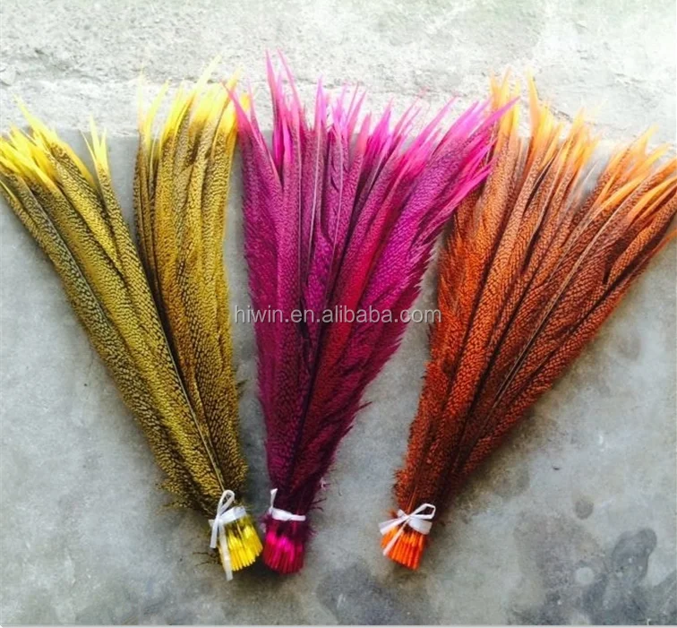 goldenfeathers.png